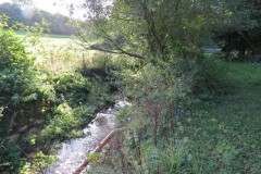 6.-Downstream-from-Roebuck-Crossing-14