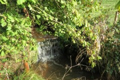6.-Downstream-from-Roebuck-Crossing-15