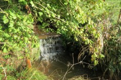 6.-Downstream-from-Roebuck-Crossing-16