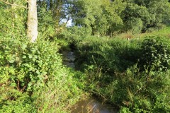 6.-Downstream-from-Roebuck-Crossing-17