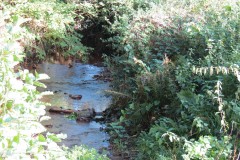 6.-Downstream-from-Roebuck-Crossing-18
