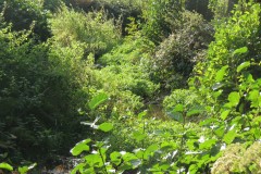 6.-Downstream-from-Roebuck-Crossing-19