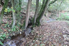 6.-Downstream-from-Roebuck-Crossing-2