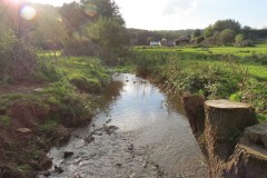 6.-Downstream-from-Roebuck-Crossing-20