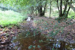 6.-Downstream-from-Roebuck-Crossing-3