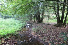 6.-Downstream-from-Roebuck-Crossing-4