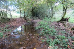 6.-Downstream-from-Roebuck-Crossing-5