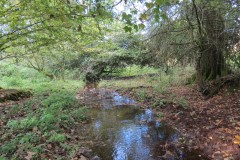 6.-Downstream-from-Roebuck-Crossing-6