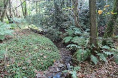 6.-Downstream-from-Roebuck-Crossing-8