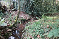 6.-Downstream-from-Roebuck-Crossing-9