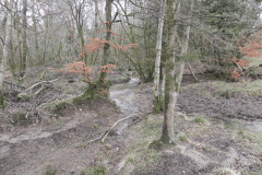 1. Upstream from Lea Farm Bridge