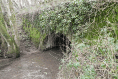 14. Frog Pit Moor Railway Culvert downstream face