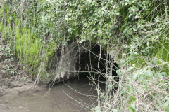 15. Frog Pit Moor Railway Culvert downstream face