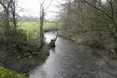26. Looking upstream from Haynemoor Wood Bridge