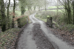 28. Haynemoor Wood Bridge