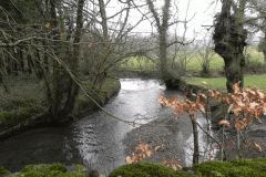 31. Looking downstream from Haynemoor Wood Bridge