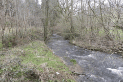 9. Looking upstream from Batherm Bridge