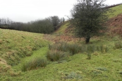 1. The source on Quarme Hill