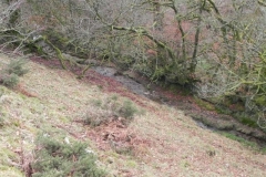 16. Tributary stream flowing from East side of Quarme Hill