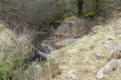 17. Tributary stream joins Pulham River