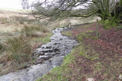 25. Upstream from ROW Ford