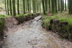 42. Upstream from Beatland Plantation Ford