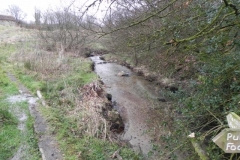 47. Looking downstream from ROW Bridge 1995