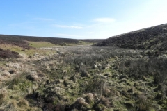 10. Looking up Madacombe from Madacombe Bridge