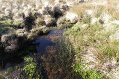 13. Downstream from Madacombe Bridge