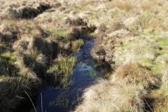 14. Downstream from Madacombe Bridge