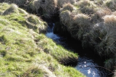 15. Downstream from Madacombe Bridge