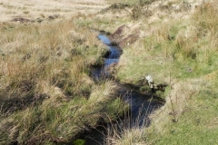 16. Downstream from Madacombe Bridge