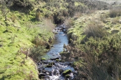 17. Downstream from Madacombe Bridge