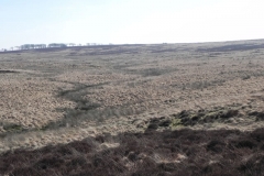 2. Source at top of Madacombe