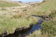 20. Downstream from Madacombe Bridge B