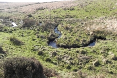 21. Downstream from Madacombe Bridge B