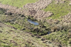 23. Flowing through Madacombe