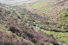 24. Flowing through Madacombe