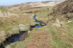 26. Flowing through Madacombe