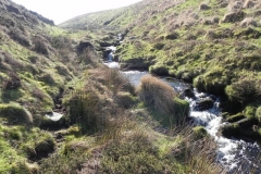 27. Flowing through Madacombe