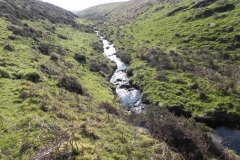 28. Flowing through Madacombe