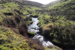 29. Upstream view from above Three Combes Foot