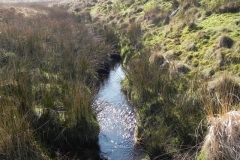 3. The early stream