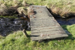 42. Three Combes Foot Bridge B
