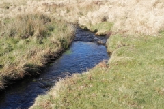 44. Downstream from Three Combes Foot