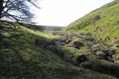 46. Looking up Kittock
