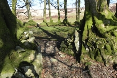 53. Three Combes Foot Sheepfold