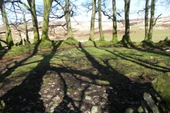 54. Three Combes Foot Sheepfold