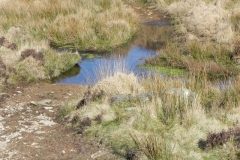 7. Madacombe Ford