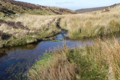 8. Looking downstream from Madacombe Ford